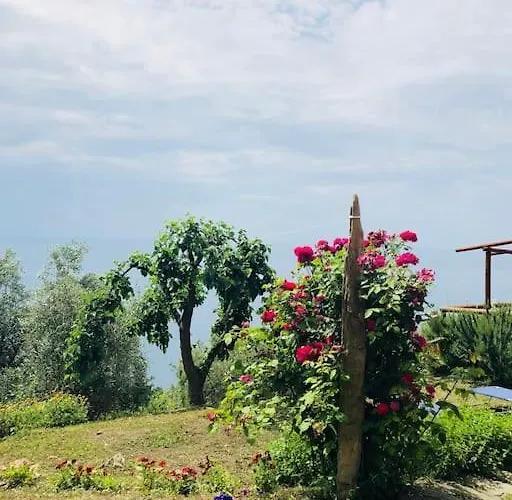 Amazing Flat At The Heart Of 5 Terre National Park 베르나차