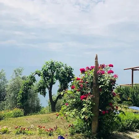 Amazing Flat At The Heart Of 5 Terre National Park Вернацца
