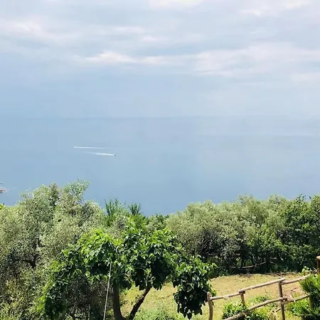 Amazing Flat At The Heart Of 5 Terre National Park Apartment Vernazza