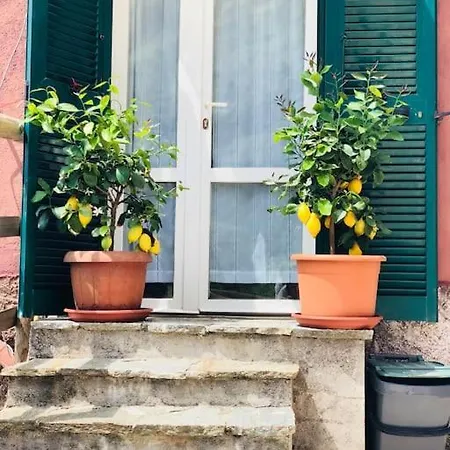Amazing Flat At The Heart Of 5 Terre National Park 아파트 *