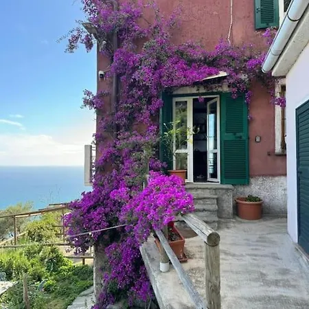 Apartment Amazing Flat At The Heart Of 5 Terre National Park Vernazza